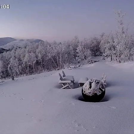 Live In The Realm Of The Musk Oxen On Dovrefjell بيت للعطل