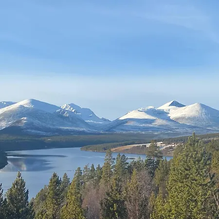 Live In The Realm Of The Musk Oxen On Dovrefjell بيت للعطل *