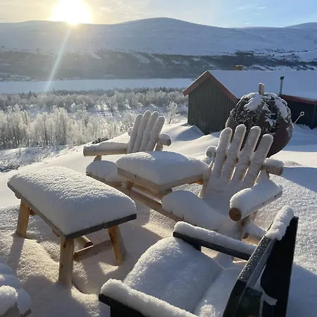 Live In The Realm Of The Musk Oxen On Dovrefjell