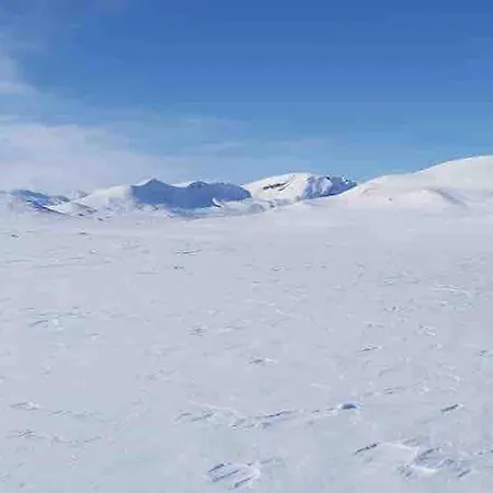 Live In The Realm Of The Musk Oxen On Dovrefjell بيت للعطل Hjerkinn