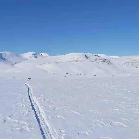 Σπίτι διακοπών Live In The Realm Of The Musk Oxen On Dovrefjell *