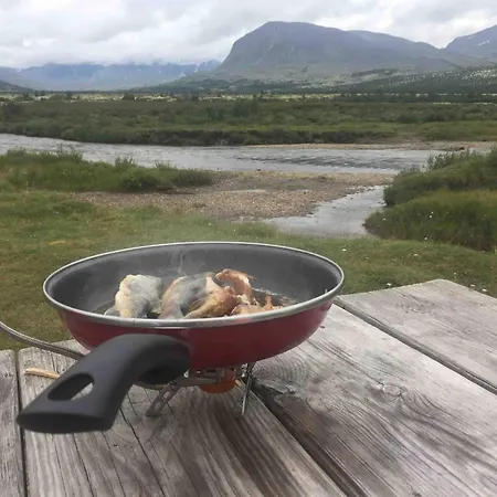 Live In The Realm Of The Musk Oxen On Dovrefjell * Hjerkinn
