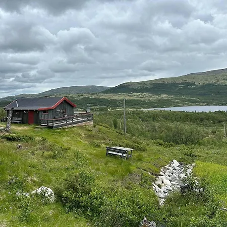 Live In The Realm Of The Musk Oxen On Dovrefjell بيت للعطل