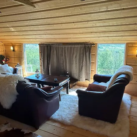 Live In The Realm Of The Musk Oxen On Dovrefjell Hjerkinn