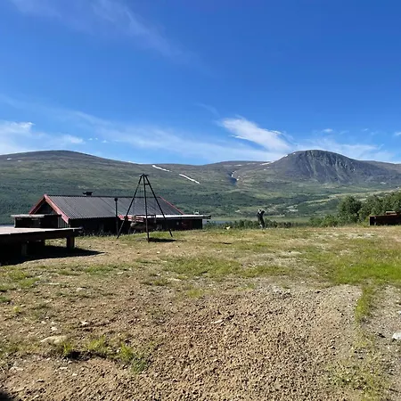 Live In The Realm Of The Musk Oxen On Dovrefjell
