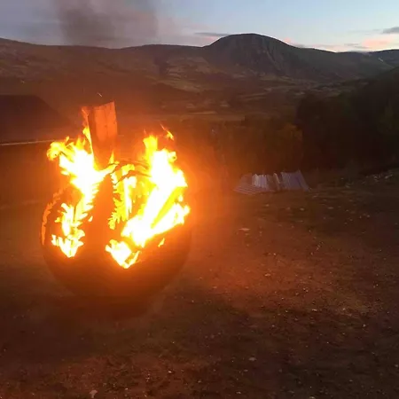 Live In The Realm Of The Musk Oxen On Dovrefjell بيت للعطل