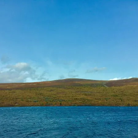 Live In The Realm Of The Musk Oxen On Dovrefjell *