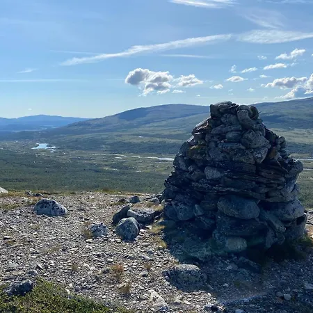 Live In The Realm Of The Musk Oxen On Dovrefjell *