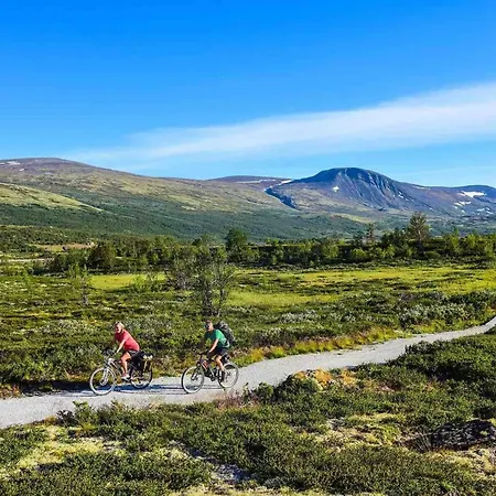 Дом отдыха Live In The Realm Of The Musk Oxen On Dovrefjell