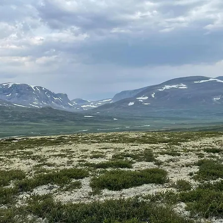 Live In The Realm Of The Musk Oxen On Dovrefjell بيت للعطل Hjerkinn