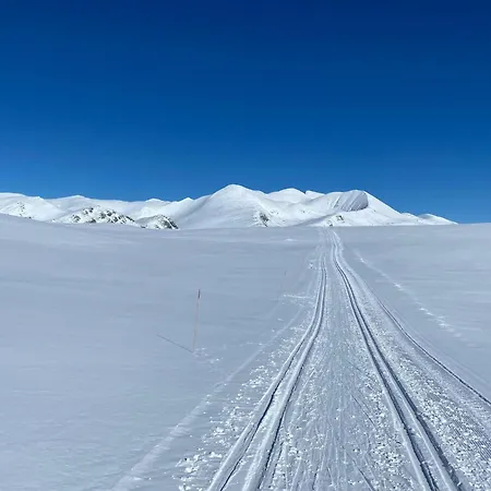 Live In The Realm Of The Musk Oxen On Dovrefjell Σπίτι διακοπών