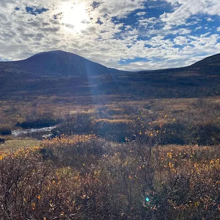 Σπίτι διακοπών Live In The Realm Of The Musk Oxen On Dovrefjell *