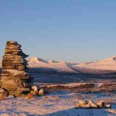بيت للعطل Live In The Realm Of The Musk Oxen On Dovrefjell *