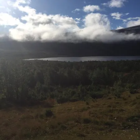 Live In The Realm Of The Musk Oxen On Dovrefjell Σπίτι διακοπών Hjerkinn