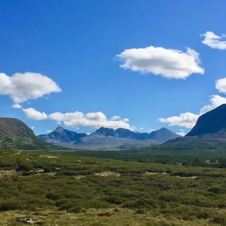 Live In The Realm Of The Musk Oxen On Dovrefjell