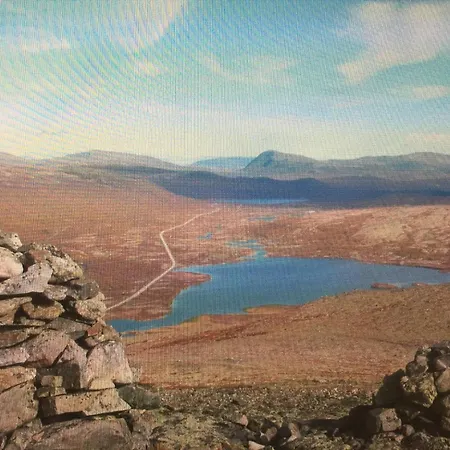 Live In The Realm Of The Musk Oxen On Dovrefjell