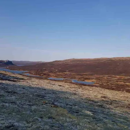 Live In The Realm Of The Musk Oxen On Dovrefjell Дом отдыха