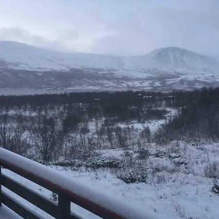 Live In The Realm Of The Musk Oxen On Dovrefjell
