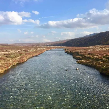 Live In The Realm Of The Musk Oxen On Dovrefjell Σπίτι διακοπών