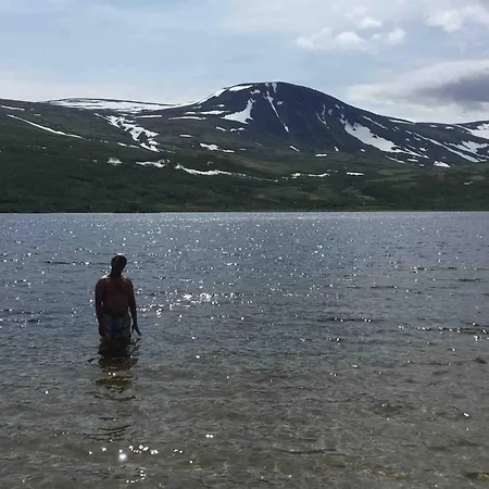 بيت للعطل Live In The Realm Of The Musk Oxen On Dovrefjell Hjerkinn