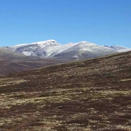 Live In The Realm Of The Musk Oxen On Dovrefjell Дом отдыха Hjerkinn