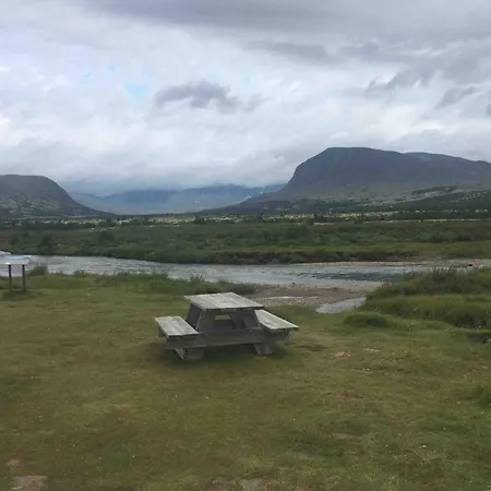 Live In The Realm Of The Musk Oxen On Dovrefjell * Hjerkinn