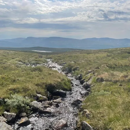 Live In The Realm Of The Musk Oxen On Dovrefjell بيت للعطل *